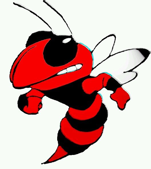 CCHSHornets's profile picture. CCHS News and Updates.