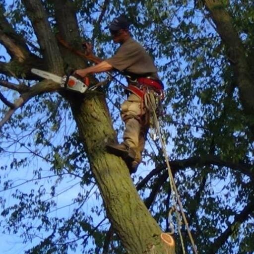 15 yrs tree climbing experience. Offer take down and removal of trees, dead tree removal, tree trimming, tree thinning, raising of trees plus much more..