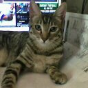 Luci Nelson - @438533afcade414 - Twitter