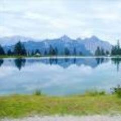 316_alexander's profile picture. 