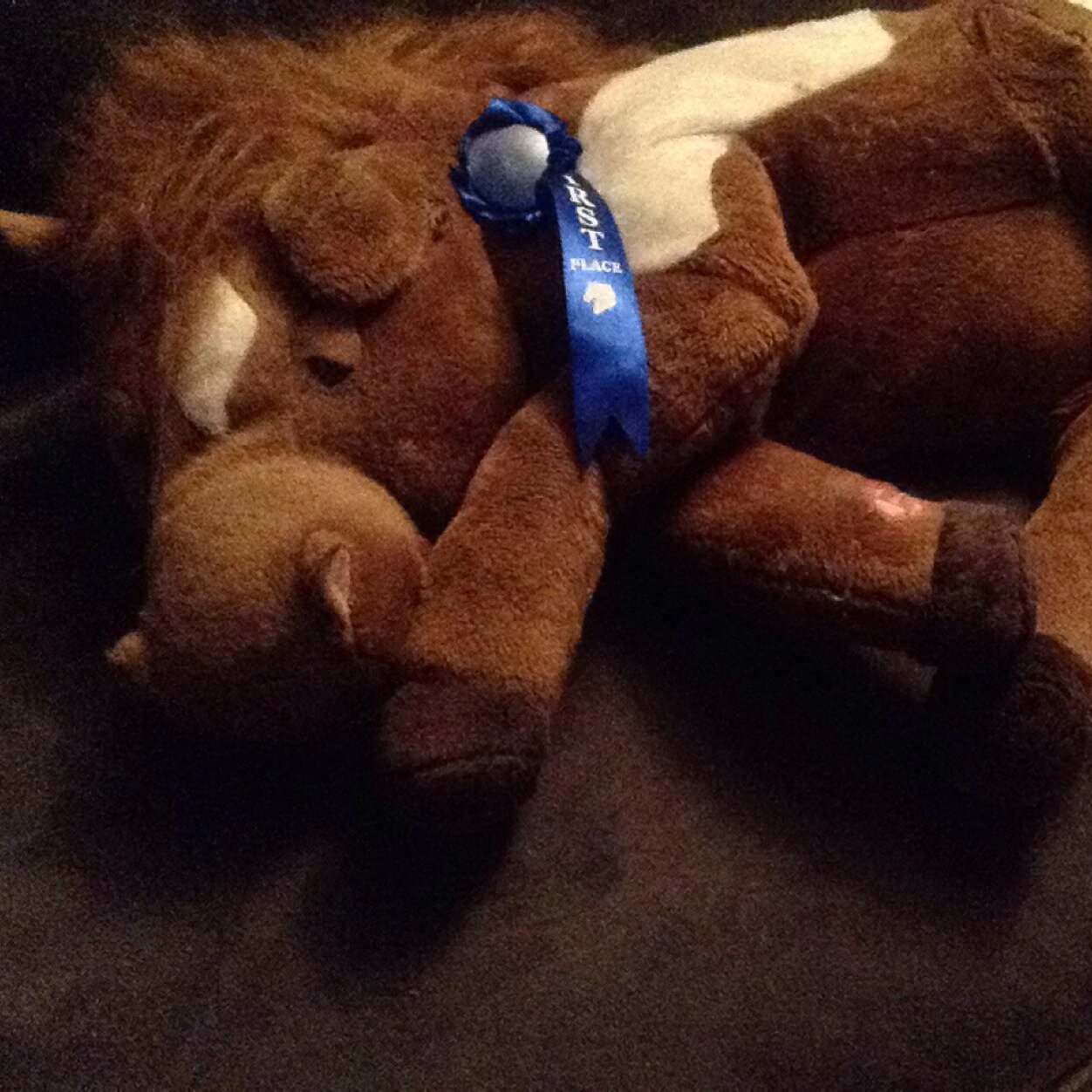 Spankyy72's profile picture. Horse Racing... Win or Lose... No Better Game in Town