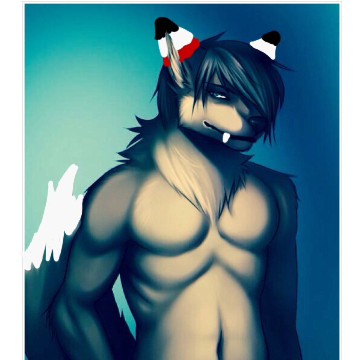 Hey im Riff Wolf im a wolf and lonely... Im single and looking ((18+ NSFW rp)) ((half artic half regular wolf))