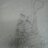 ex_polilar's profile image