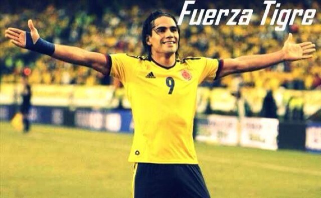 ancamisal's profile picture. 