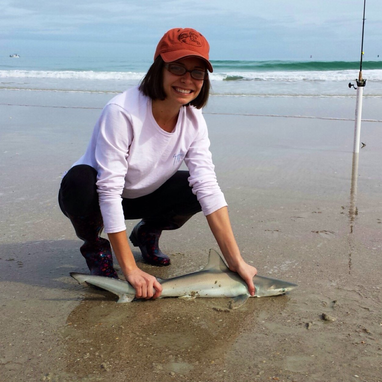 JulieD319's profile picture. 