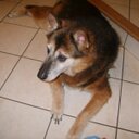 lisa bone - @lisajbone - Twitter