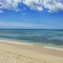 Kim Hanner - @K_Hanner - Twitter