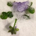 Sabrina Chávez Galn - @sabrinacgal - Twitter