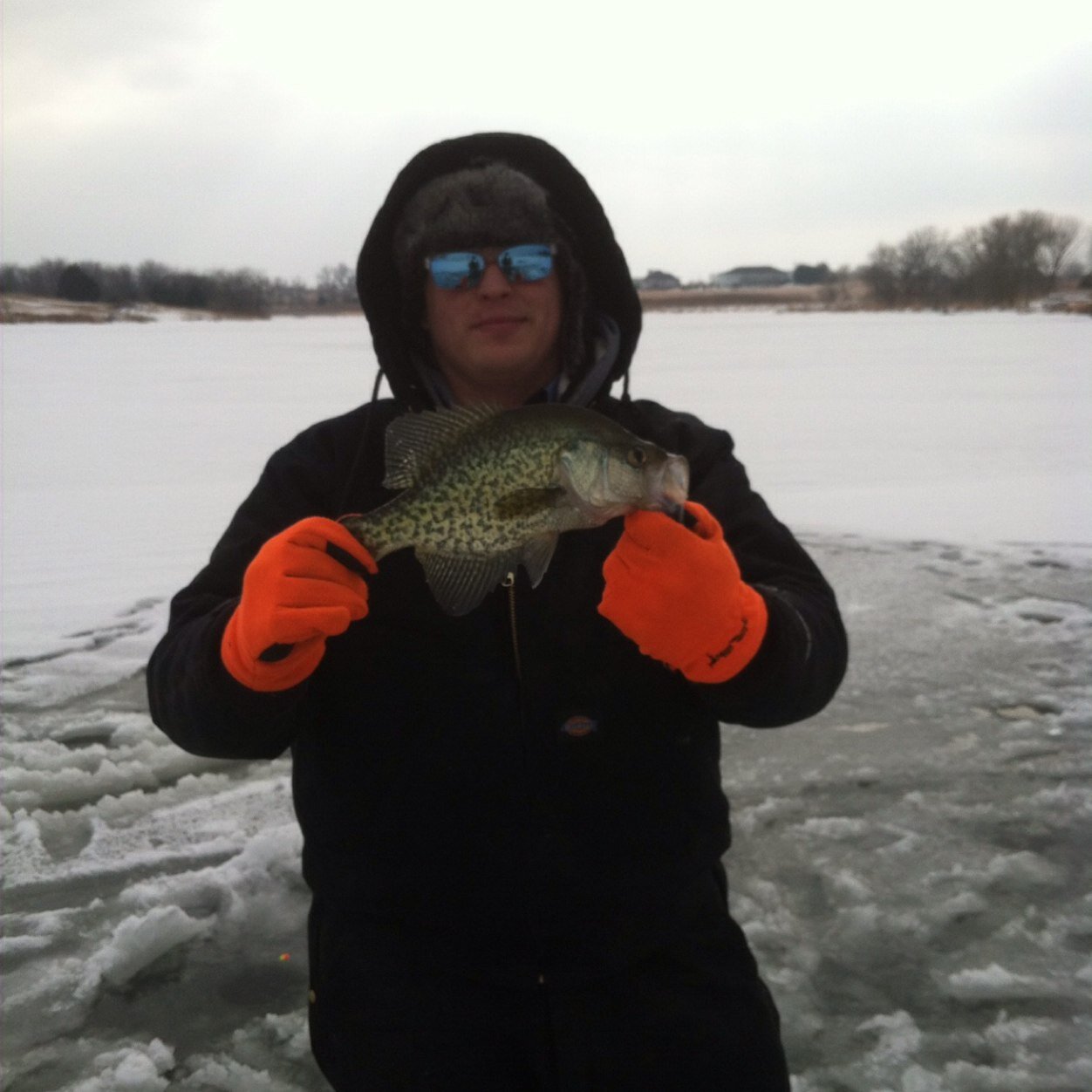 Kolinger005's profile picture. I work with some of the best automotive professionals out there. My goal is to make a positive impact in the lives of everyone I come in contact with.