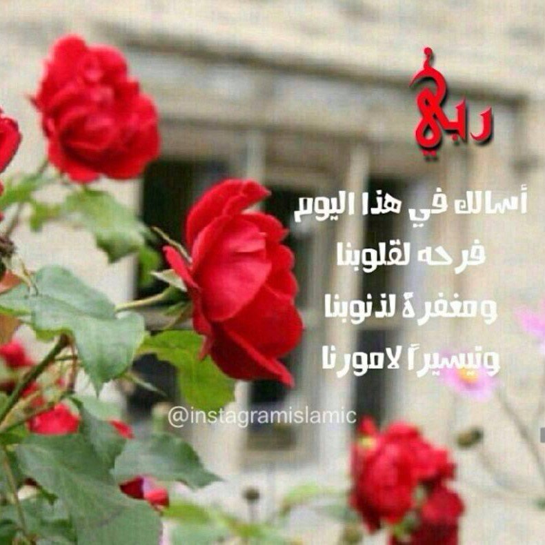 Man9orya1's profile picture. Smile and life will always smile at you. . . 2AD940D2