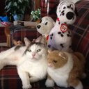 Nancy Neubauer - @stormlvr - Twitter