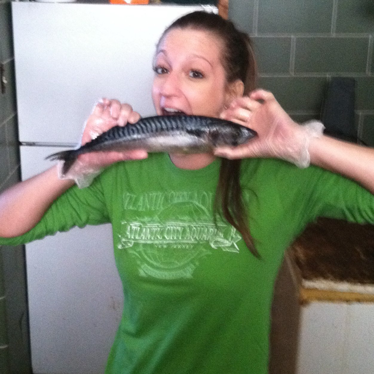 hay_its_bay's profile picture. I love when great whites fly, I need an IV drip of coffee daily, wonderfully weird, marine bio nerd