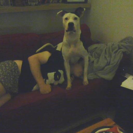 WeirdoHusband's profile picture. I'm Matt Marcus' wife. He says weird things. All the time. I document them here. Dang.