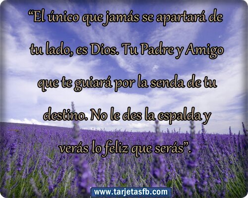 la humildad y la sencilles hace diferentes a las personas