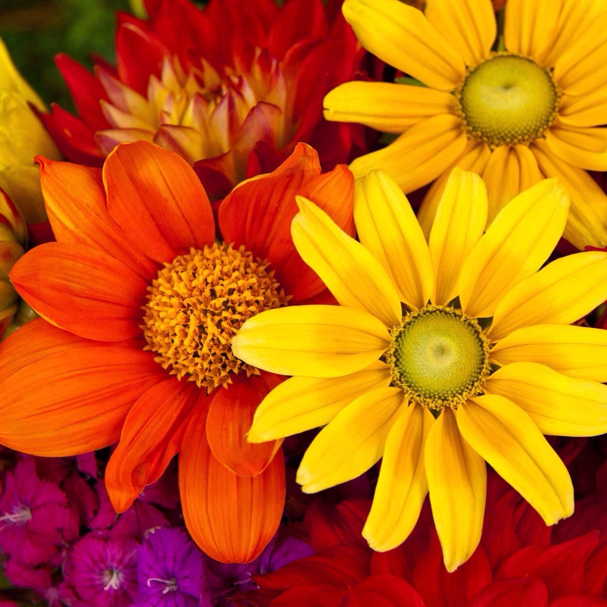 twhite4151's profile picture. 