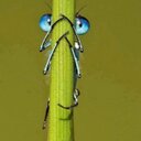 michelle sigmon - @mssigmon - Twitter