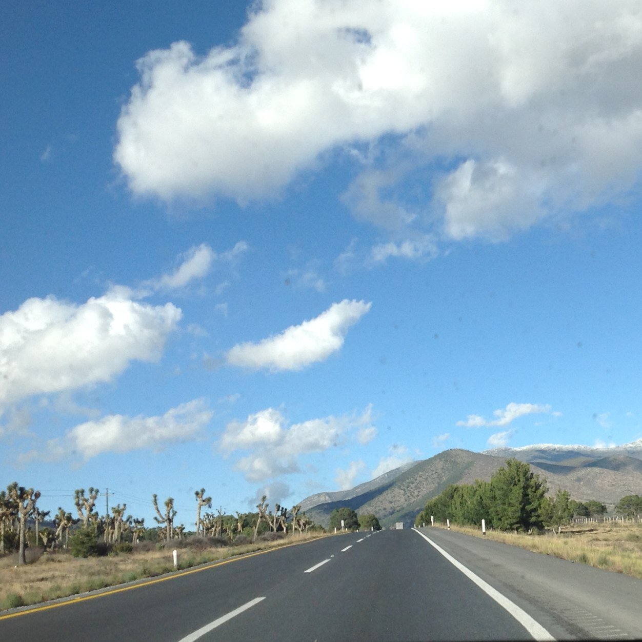 marielenagonzal's profile picture. 