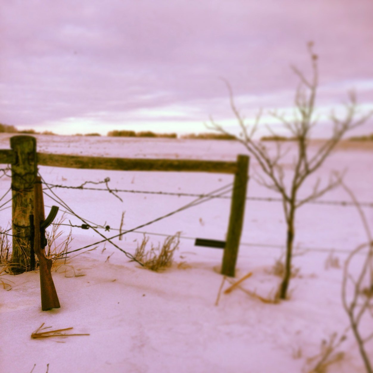 Caldwell_31's profile picture. 