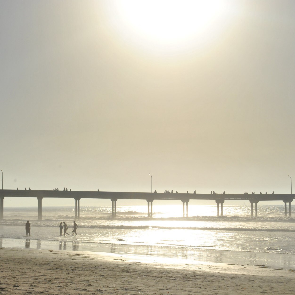 aggiejo02's profile picture. 