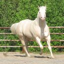 casandra suarez - @CasandraSuares - Twitter