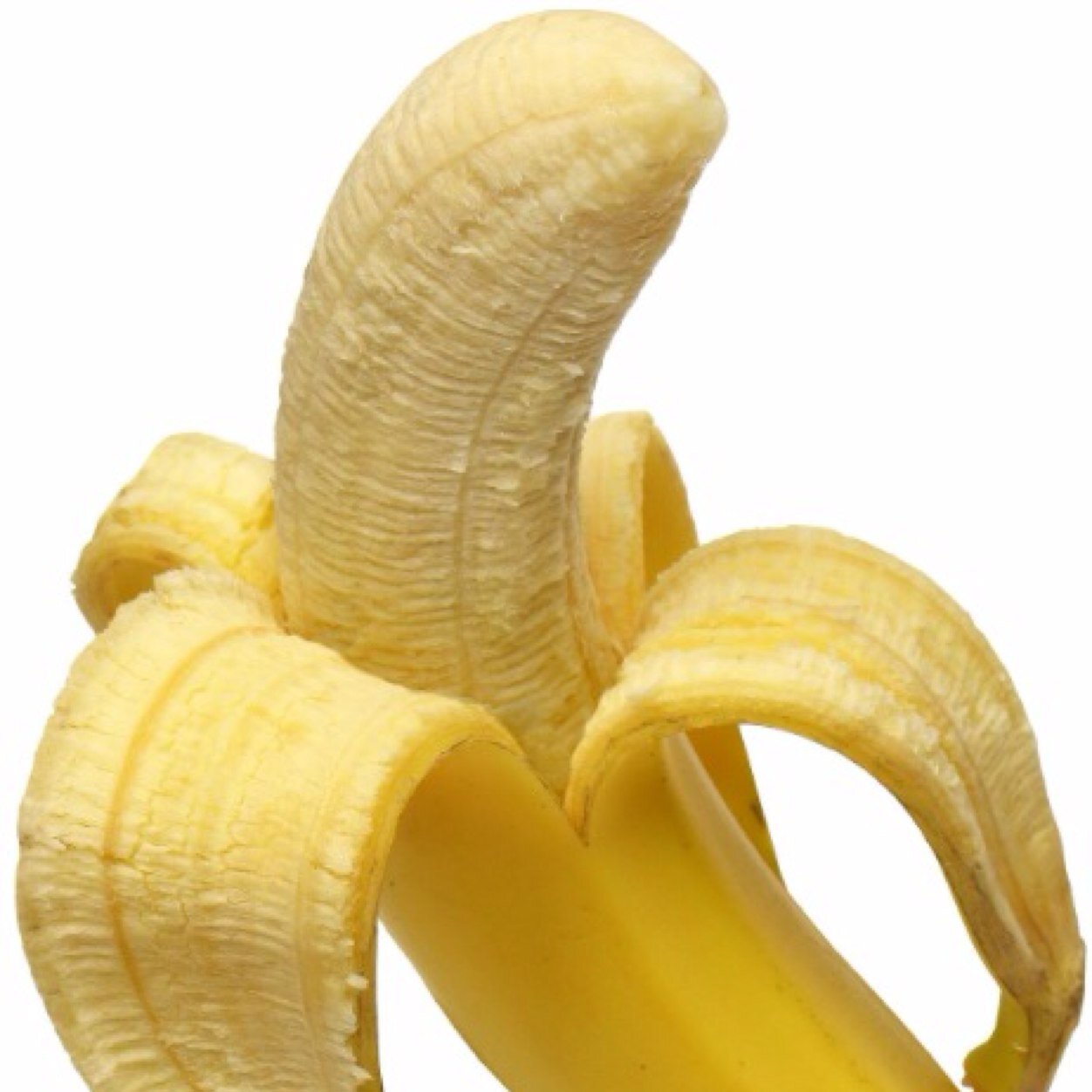 Send in banana pics to UObananarama@gmail.com