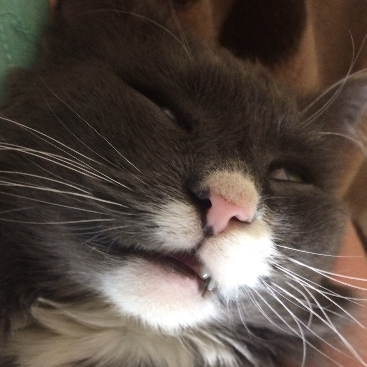 SergeyHoppus's profile picture. ...cold, bears, balalaika and vodka