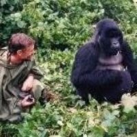 Geoff Manchester (@geoffmanchester) 's Twitter Profile Photo