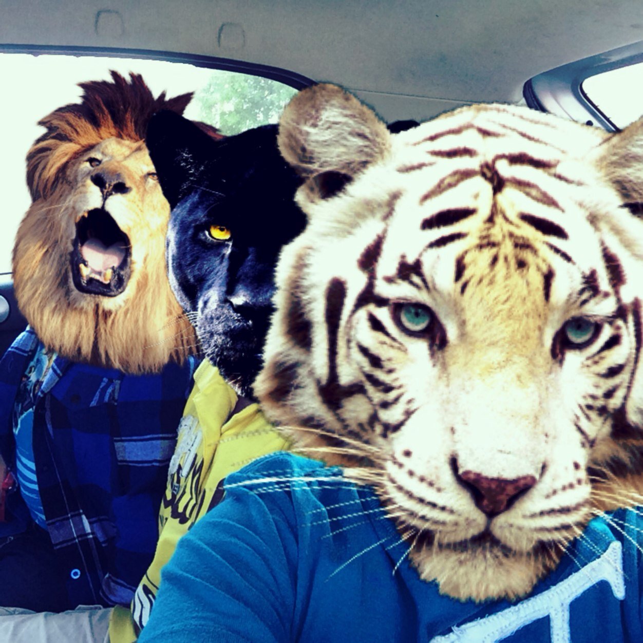 Smhalexis's profile picture. Hola ✌️