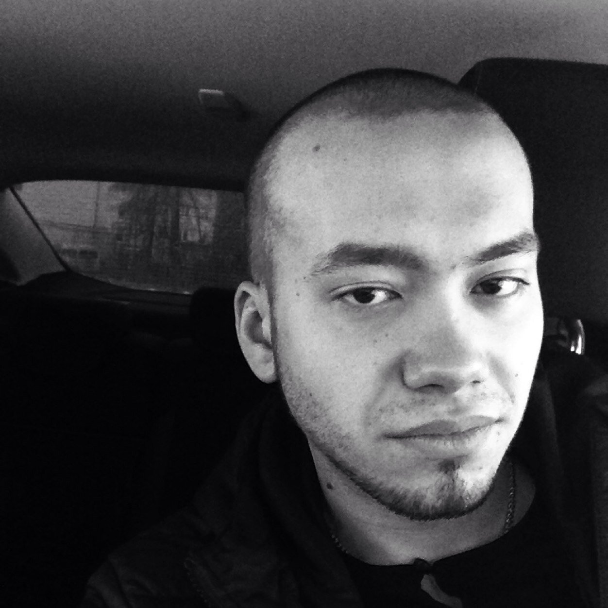 novikov_fedor's profile picture. 