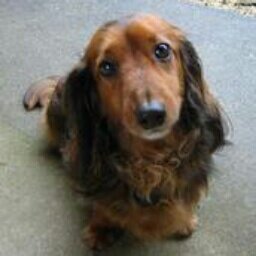 utaunagi1616's profile picture. (･ω･)呑んで唄って食す事が喜び。
最近中々遊べない(ﾉД`)


nana始めました。音響悪いのはお察し。
https://t.co/CzOsaxufHU