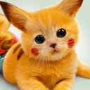 Rachel Hoyle - @TiggerKinz - Twitter