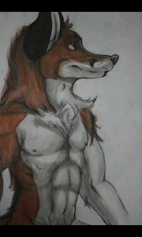 The name's Jake! A romantic type of guy with a naughty twist on the side.~ Say hi sometime. (( Single, possibly looking. Detailed RP and passive to most. ))