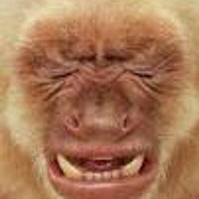 khai3188's profile image