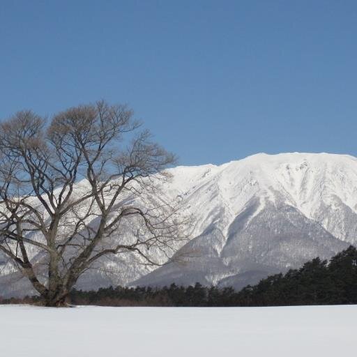 多数は必ずしも真実ではない。ウソは大嫌い。ほんとうのこと、真実を求めてtwitterはじめた老人です。よろしく。