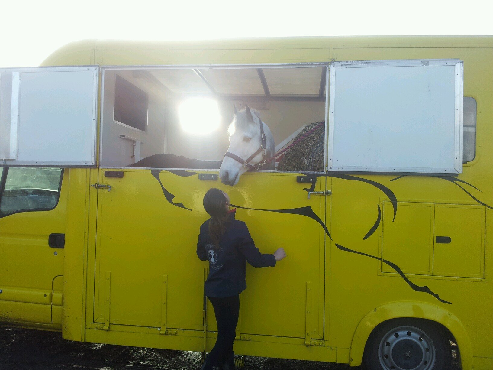 Self drive horse transport for Cardiff and Vale of Glamorgan