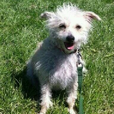 HavaHavalib's profile picture. 