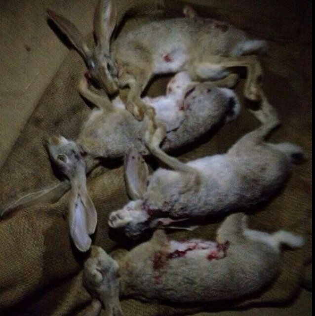 اتعبني ابوي ي جعل ابوي ف الجنه... لاجيت نصفه ولا ربعه ولا حوله..