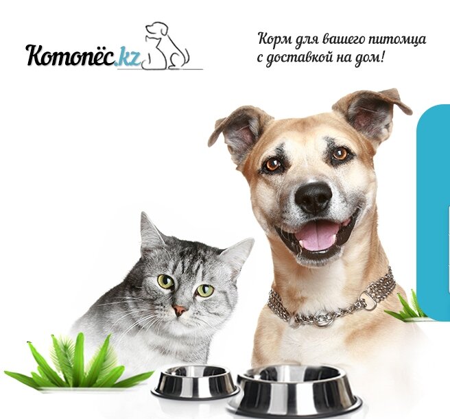 https://t.co/eiqu0iorwp интернет-магазин товаров для домашних питомцев.🐱🐶

Преимущества нашего сервиса:
✨БЕСПЛАТНАЯ ДОСТАВКА 
✨ВЫГОДНЫЕ ЦЕНЫ
✨БЕЗОПАСНОСТЬ