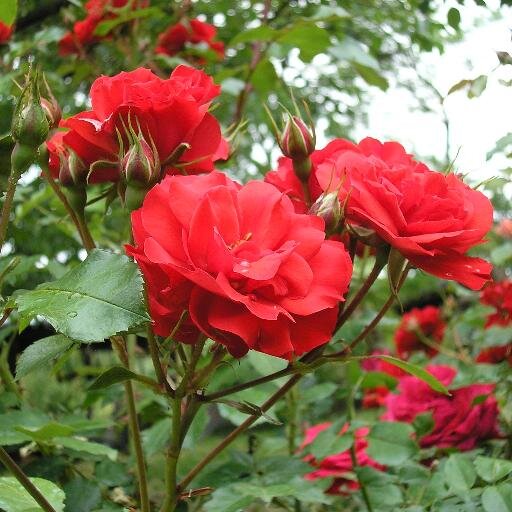 Chi ha il coraggio di cambiare viene sempre considerato un traditore da coloro che non sono capaci di nessun cambiamento (Amos Oz)