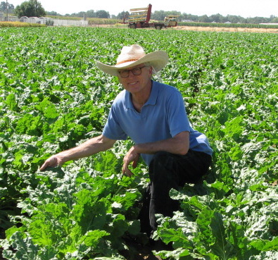 wisesolutions's profile picture. Wise is dedicated to reducing toxic flows in our environments through green chemistry alternatives that work! Agriculture, Food processing and  Marine.