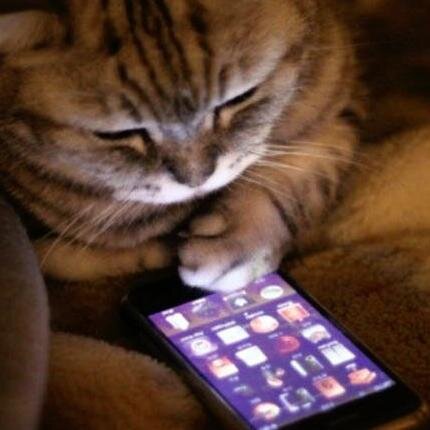 jj_998's profile picture. Me encanta la serie Violetta♥♥♥ Te amo!♥♥♥