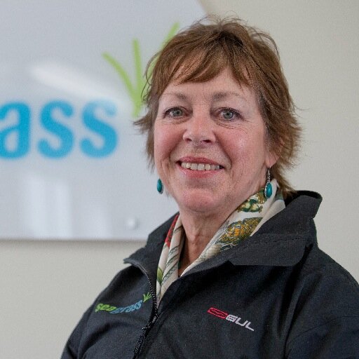 GabySeagrass's profile picture. I'm the Office Manager in title but actually I run the joint. The title is all about letting the rest keep their self esteem.