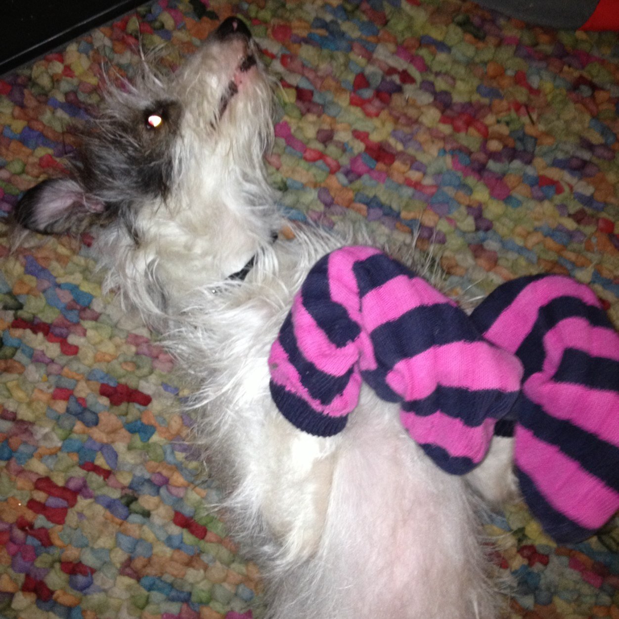 alimw333's profile picture. 