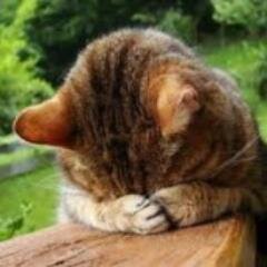 うなだれています。
