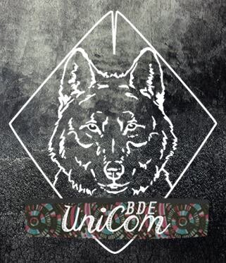 Elu Bde pour la section InfoCom pour l'année 2014/2015