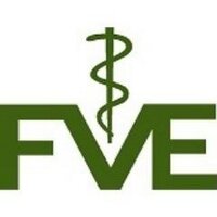 FVE(@FVEurope) 's Twitter Profile Photo