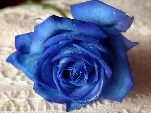 ‏♡عبدالإله حياتي وبناتي سعادتي♡