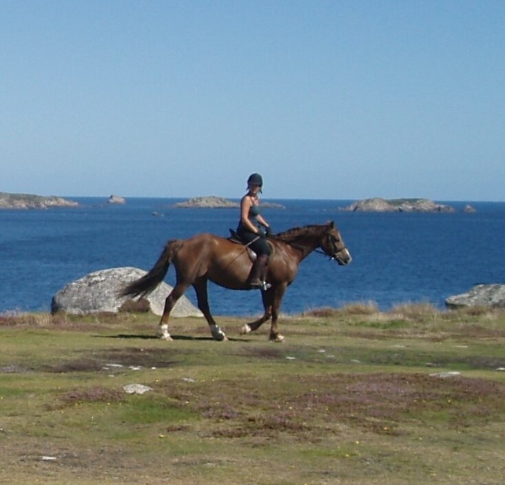 St. Mary's Riding Centre Ltd