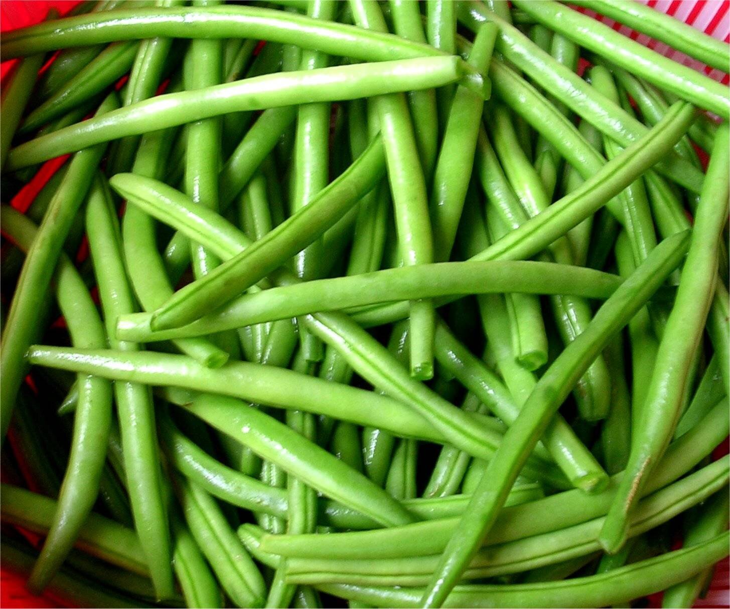 Je suis un haricot vert