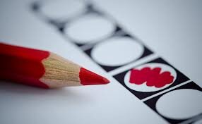 SteinVerkiezing's profile picture. Ongebonden zwervende kiezer
Gemeente Stein